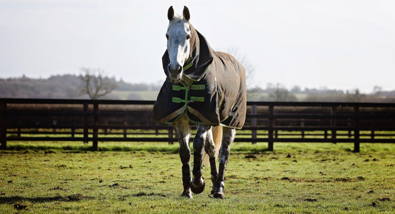 Complete Clipping Care: Everything You Need for Clipping Season