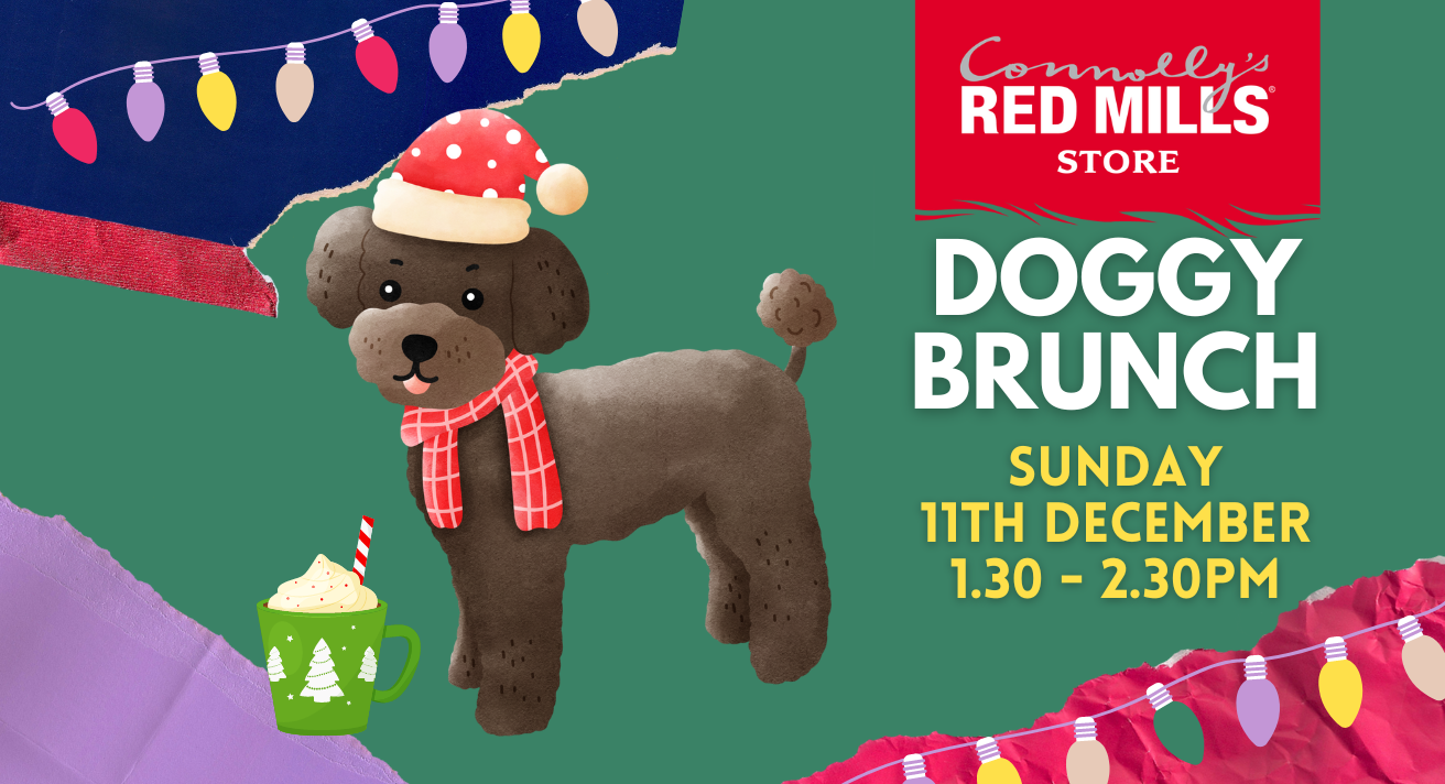 Christmas Doggy Brunch
