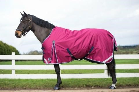 Our Top 5 Rugs This Winter!