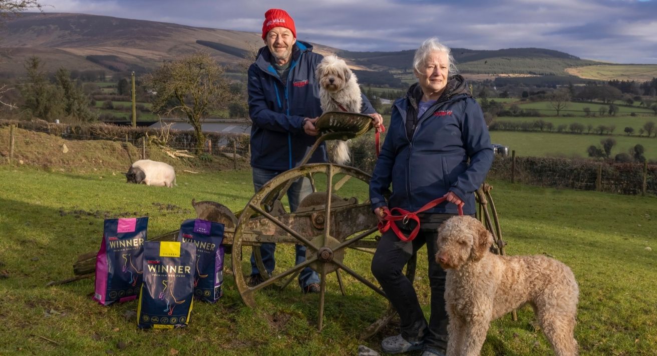 Our Visit to ASH Animal Rescue