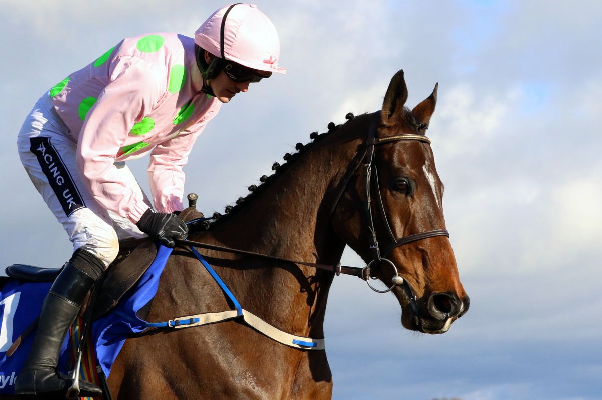 Fascinating Clash Of Douvan And Our Duke On The Cards For RED MILLS Day at Gowran Park On Saturday