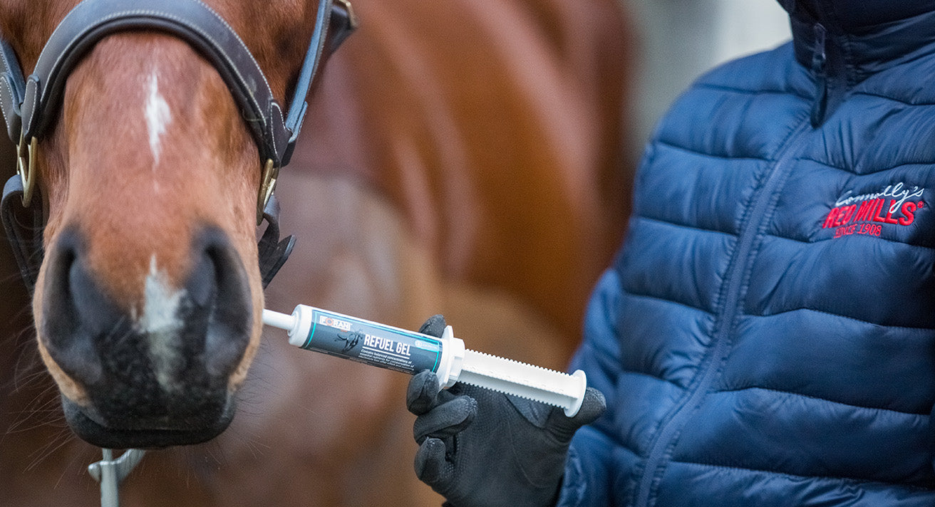 The Ultimate Performance and Recovery Combo