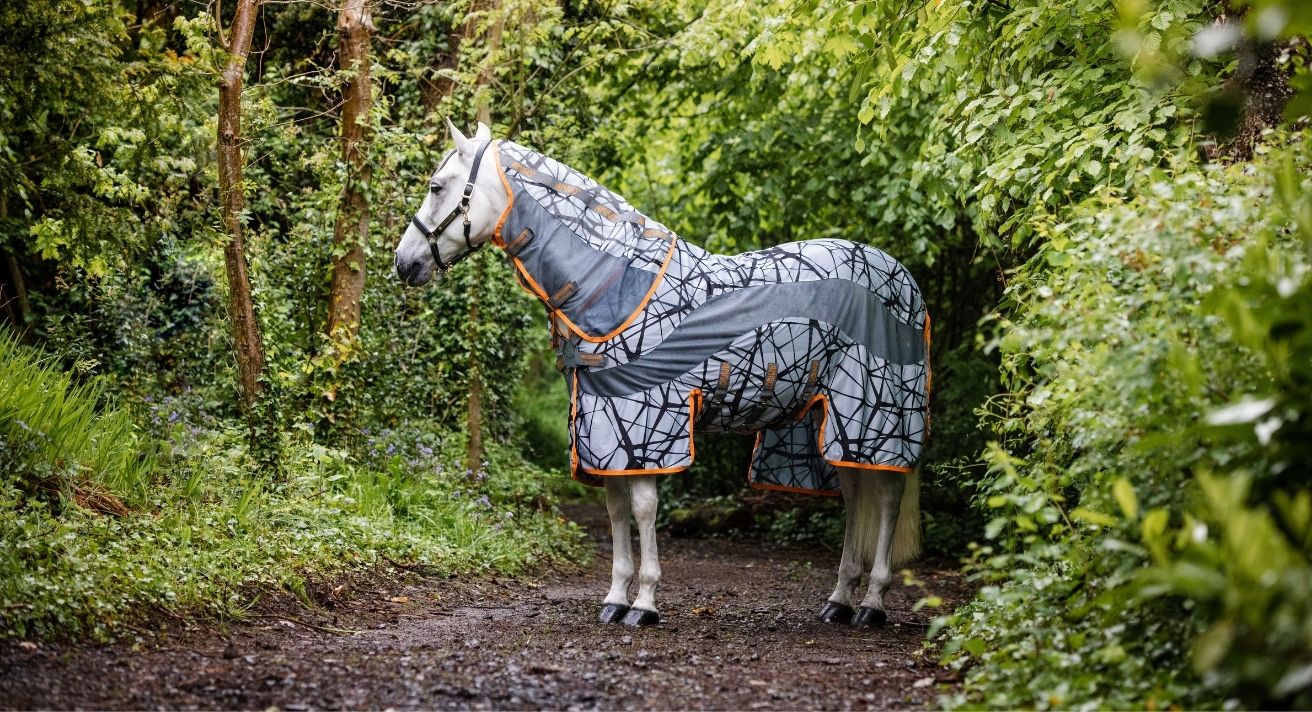 Top Reasons You Should use a Fly Rug and Fly Mask on Your Horse This Summer