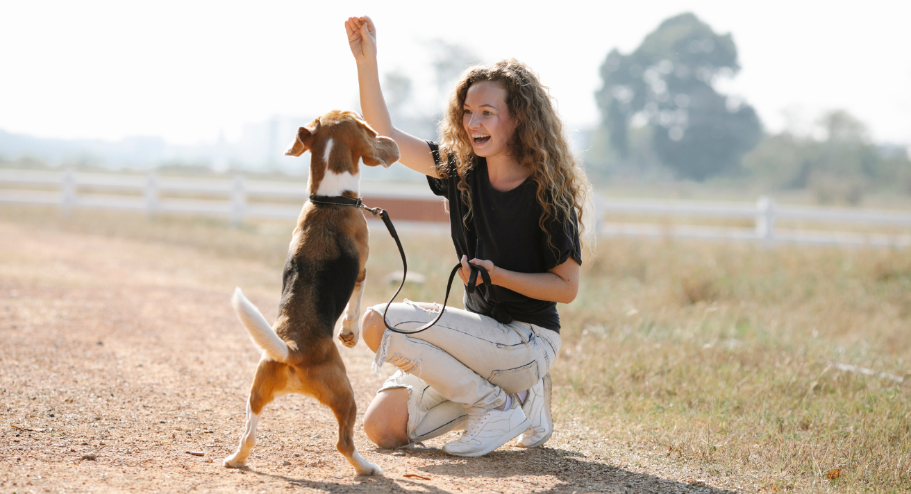 Using Positive Reinforcement in Dog and Puppy Training: The Power of Treats inShaping Behaviour