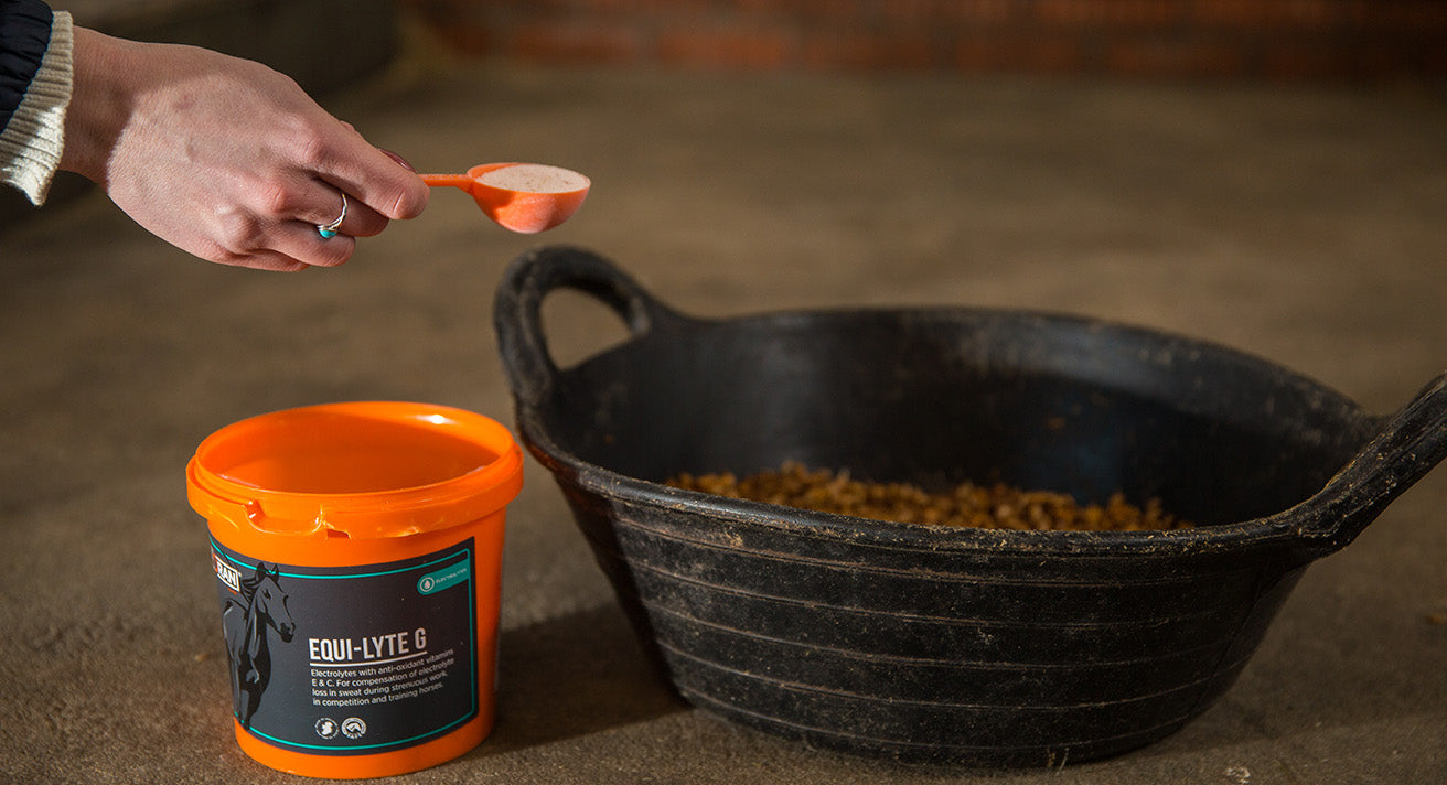 What are Electrolytes and when should you feed them?