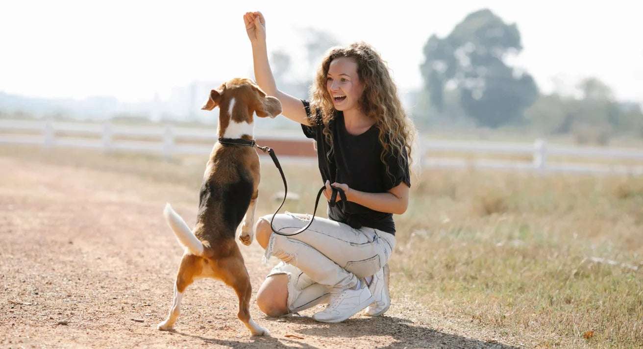 Using Positive Reinforcement in Dog and Puppy Training: The Power of Treats in Shaping Behaviour