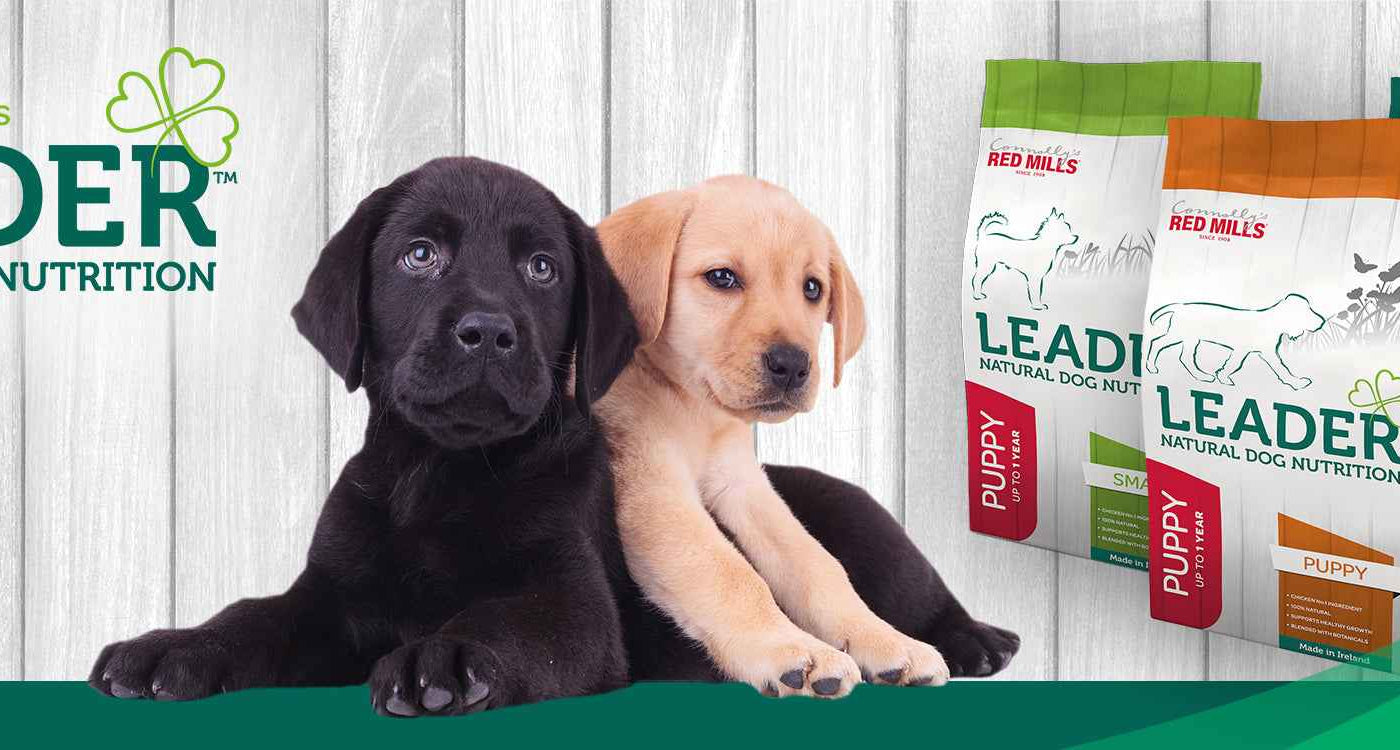Leader & An Post Insurance