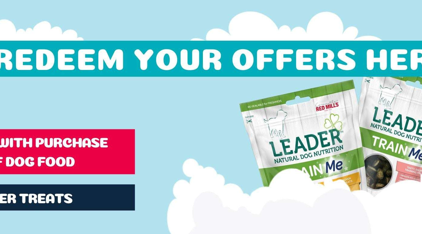 Leader Pups in the Park Offers