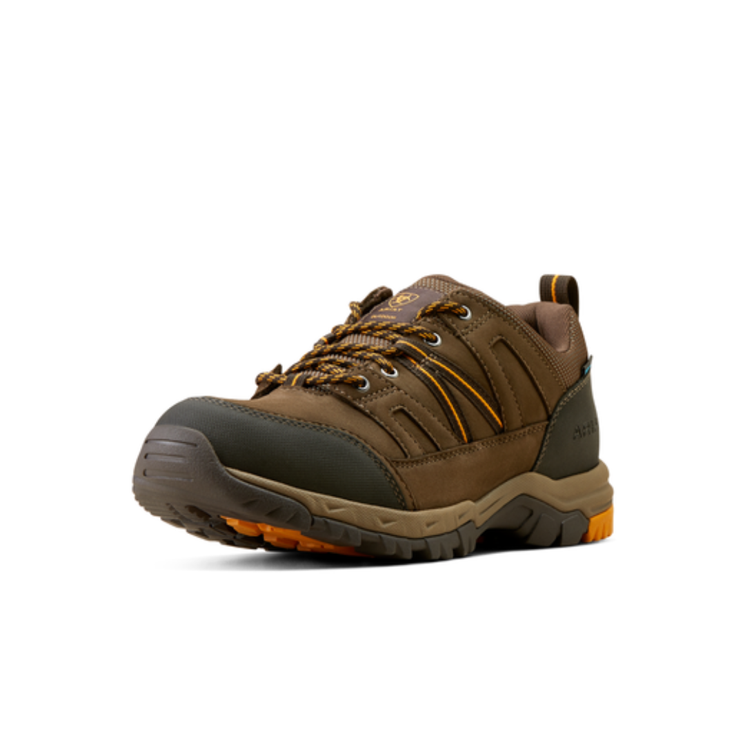 Ariat Men's Skyline Summit Low Waterproof Boot in Coffee