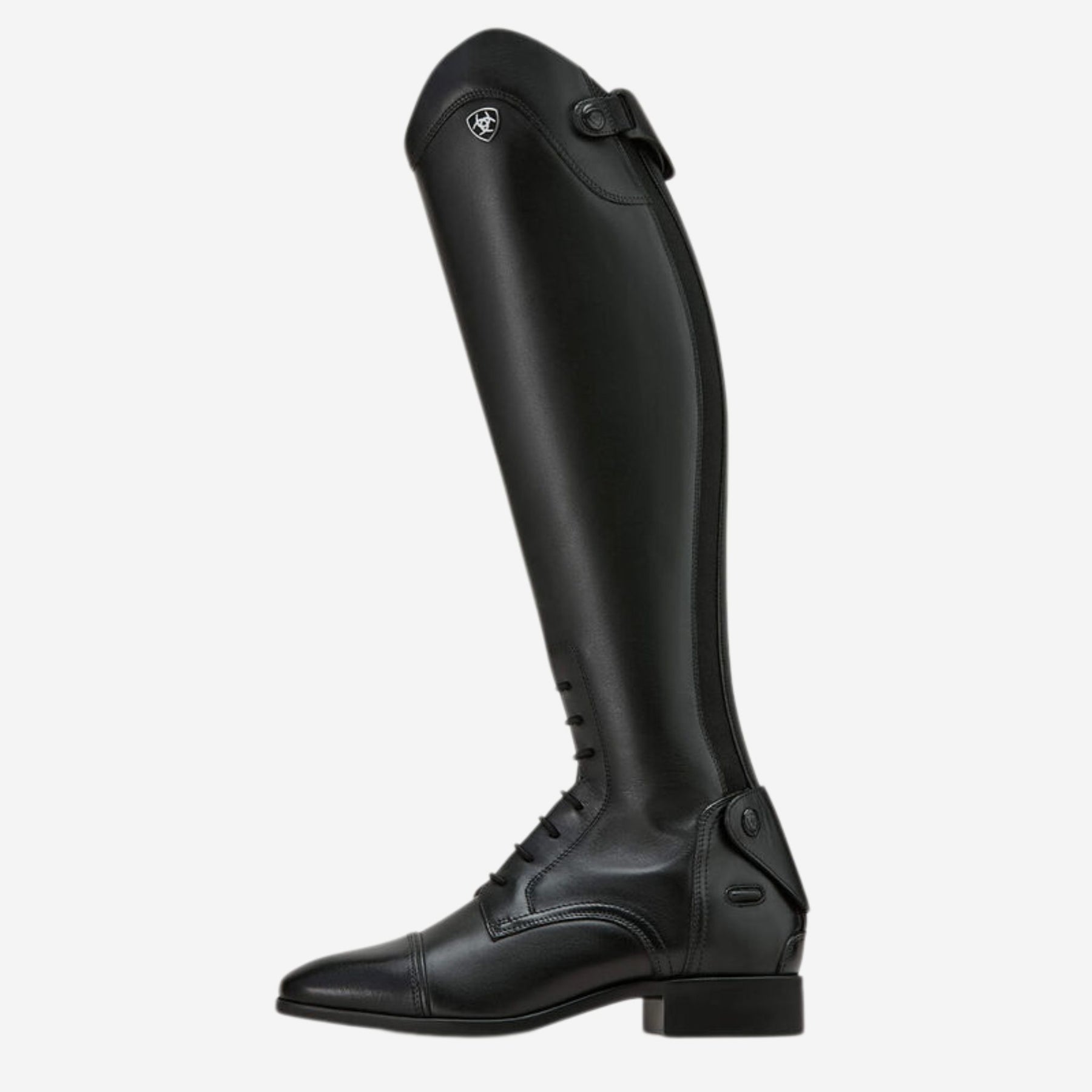 Ariat Women's Palisade Field Tall Riding Boot in Black