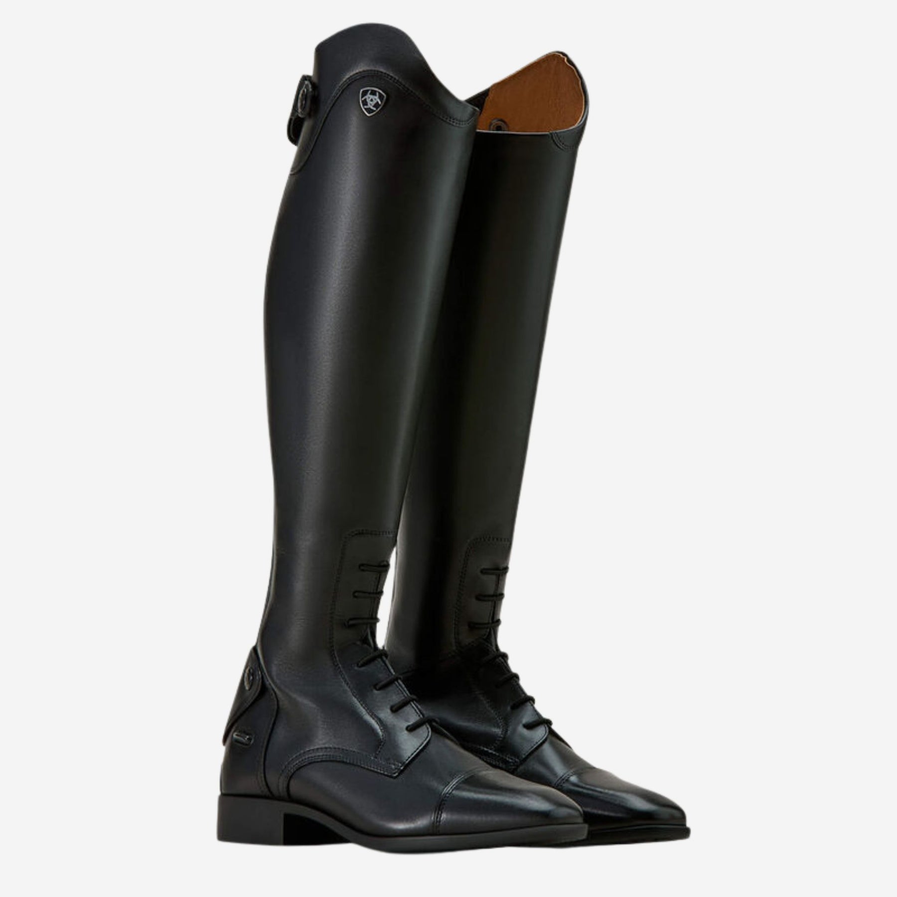 Ariat Women's Palisade Field Tall Riding Boot in Black