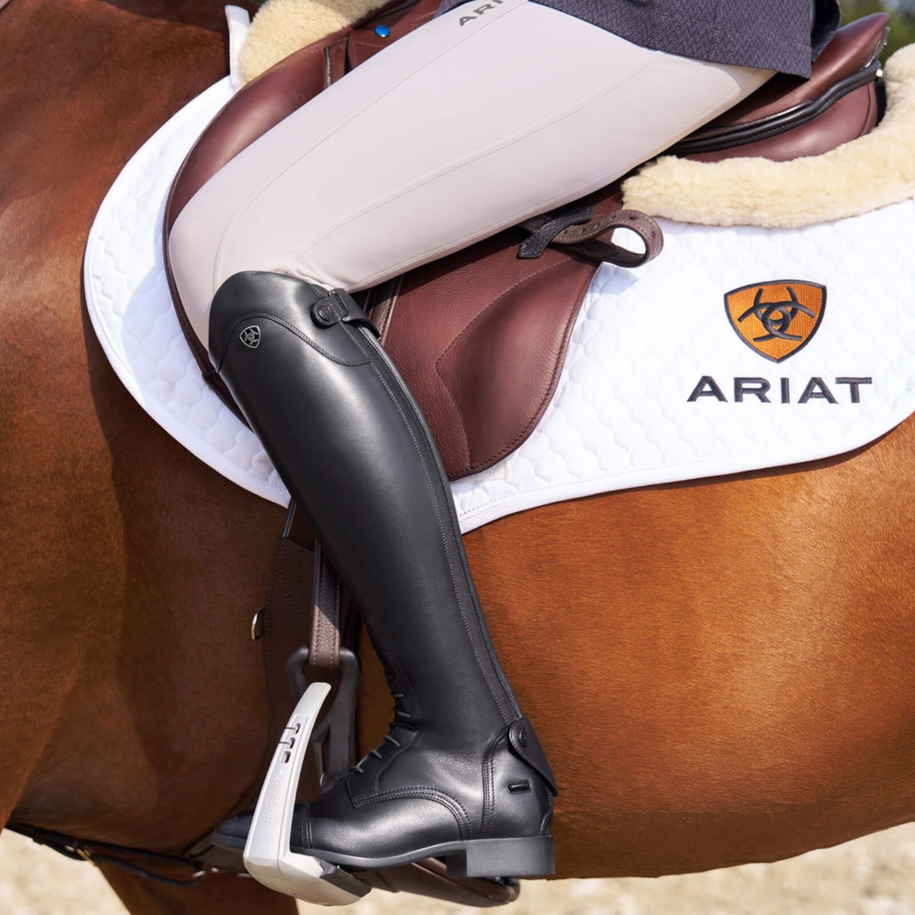 Ariat Women's Palisade Field Tall Riding Boot in Black