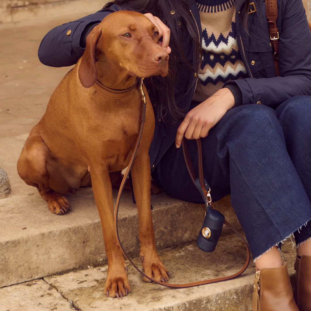 Fairfax & Favor Bakewell Leather Dog Collar in Tan