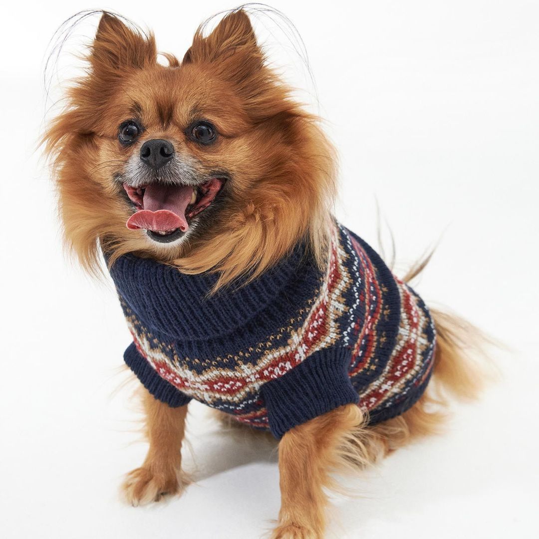 Barbour Case Fair Isle Dog Jumper in Cranberry