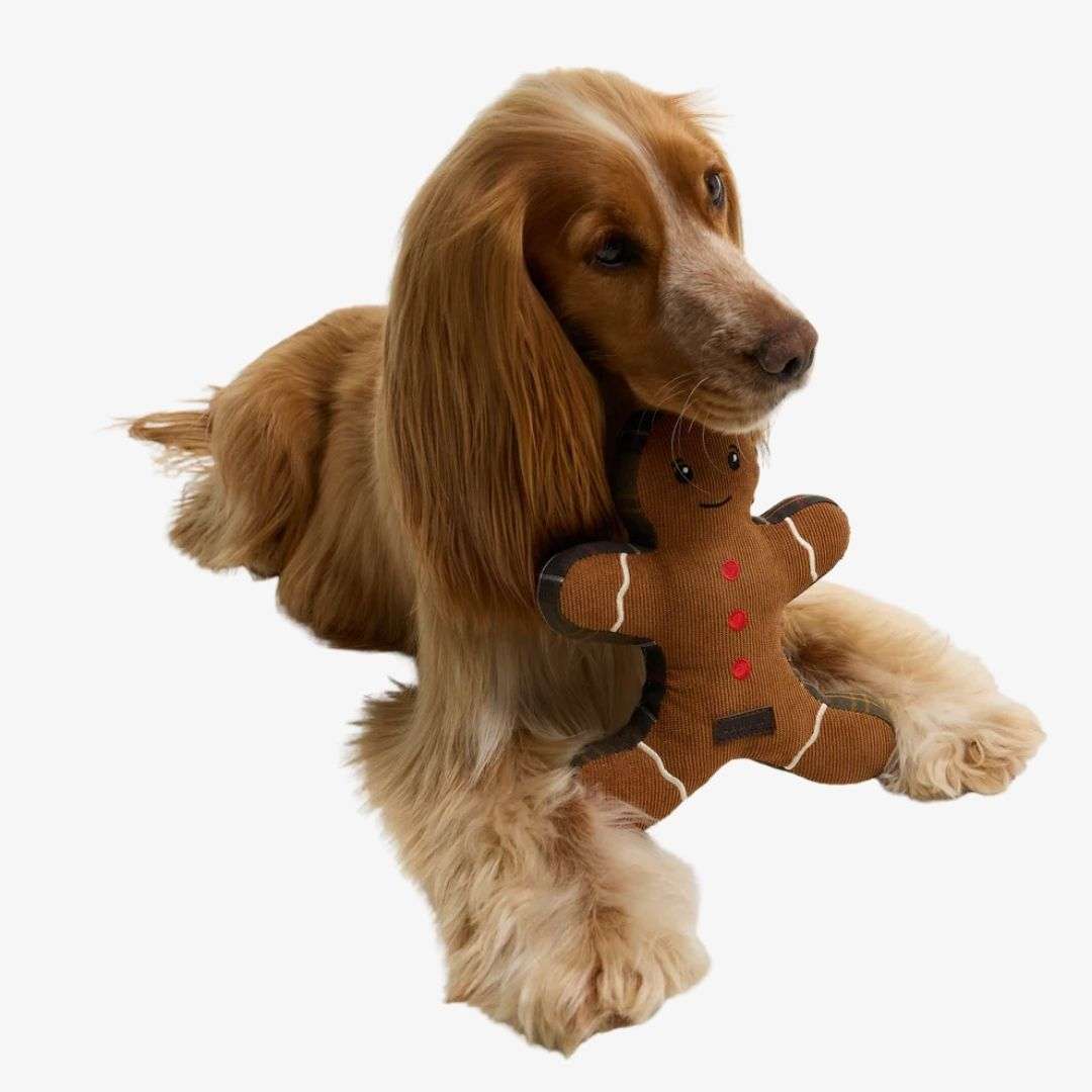 Barbour Christmas Gingerbread Dog Toy