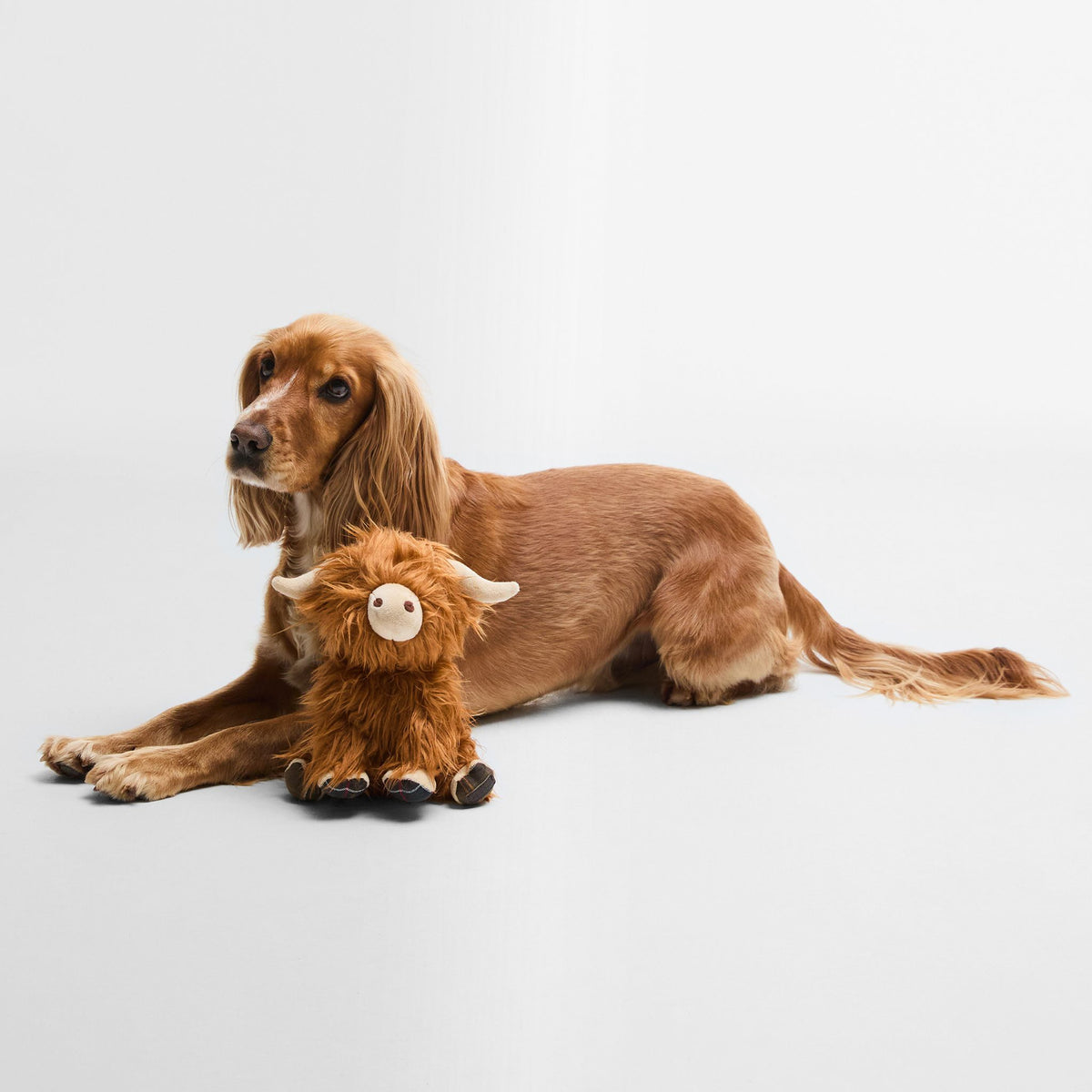 Barbour Highland Cow Dog Toy in Brown