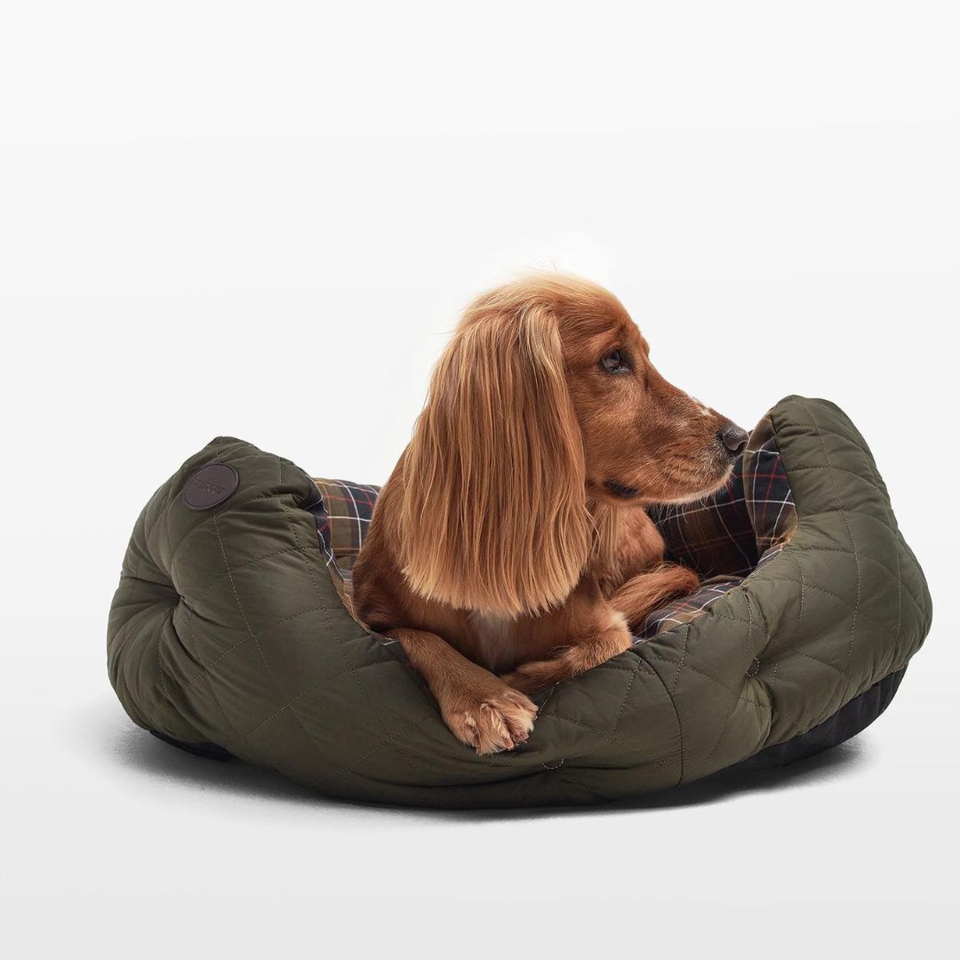 Barbour dog sale cushion