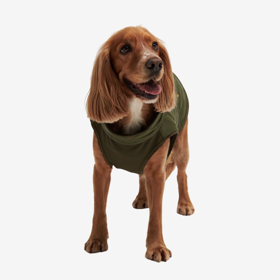 Barbour Reversible Quilted Dog Coat in Olive