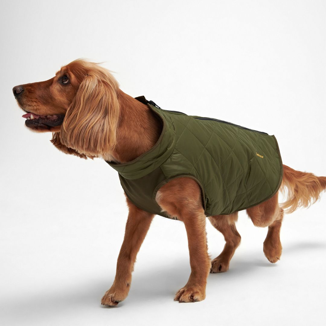 Barbour Reversible Quilted Dog Coat in Olive