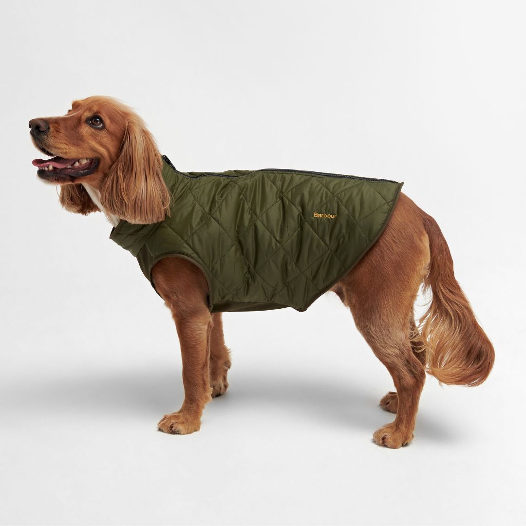 Barbour new wax dog coat best sale