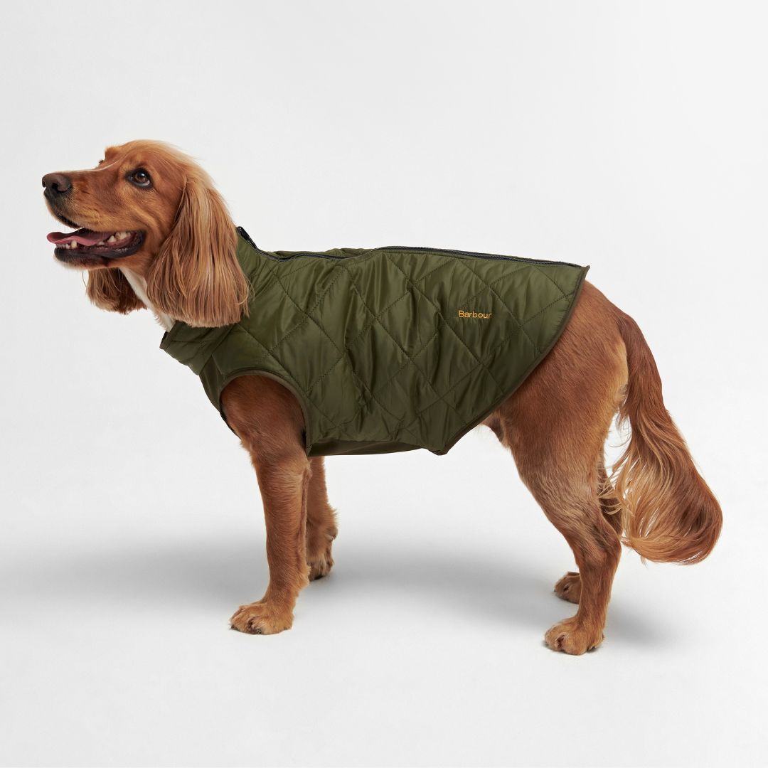 Barbour Reversible Quilted Dog Coat in Olive - Main Image