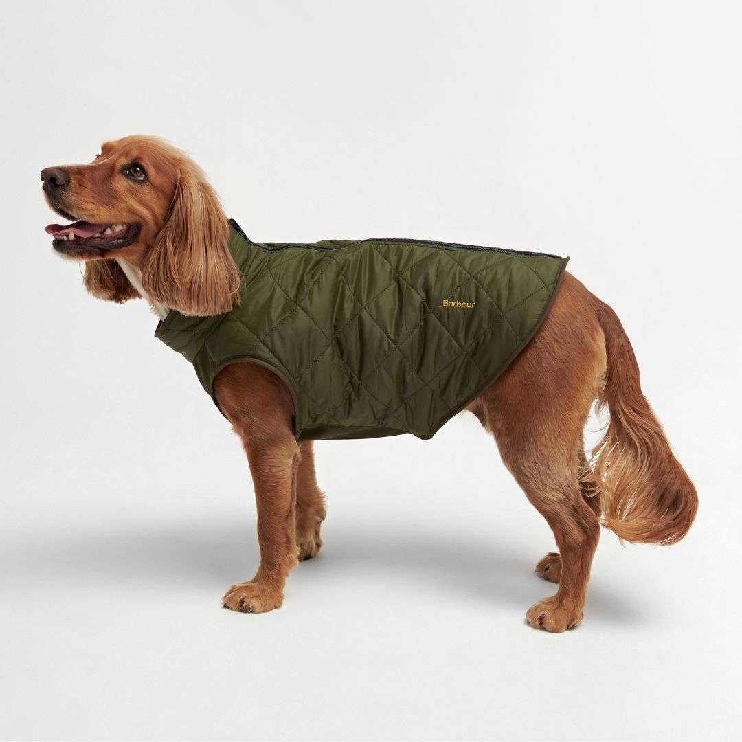 Barbour Reversible Quilted Dog Coat in Olive