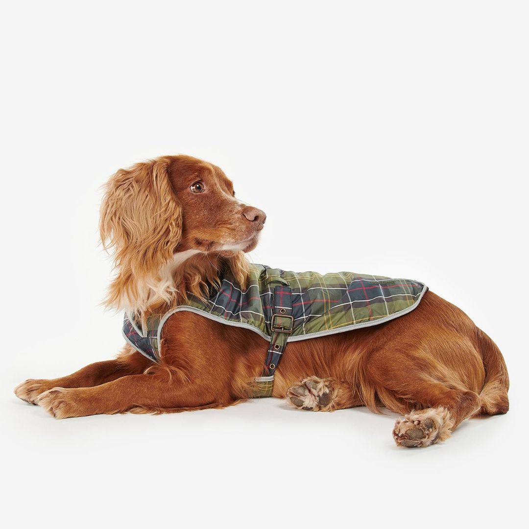 Barbour Waterproof Dog Coat in Classic Tartan