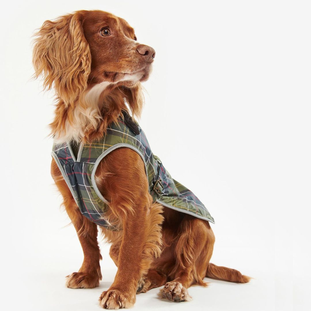 Barbour Waterproof Dog Coat in Classic Tartan - Main Image