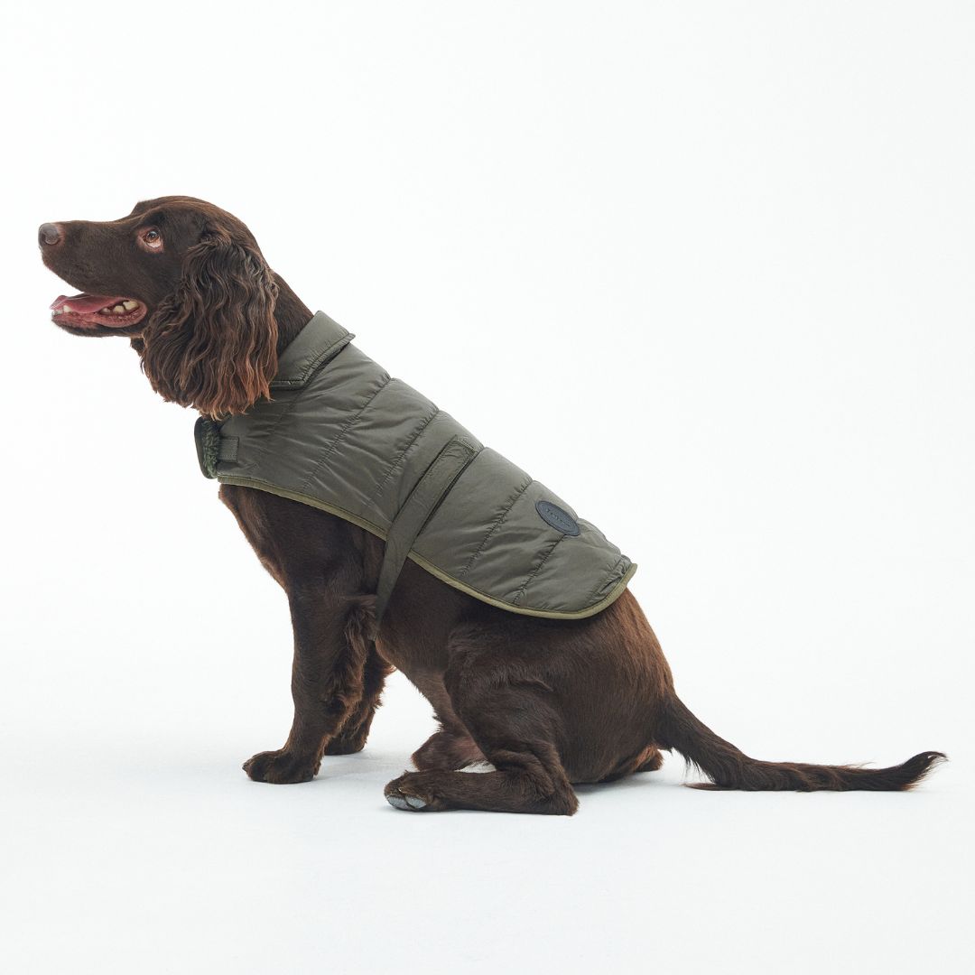 Barbour black quilted dog coat best sale