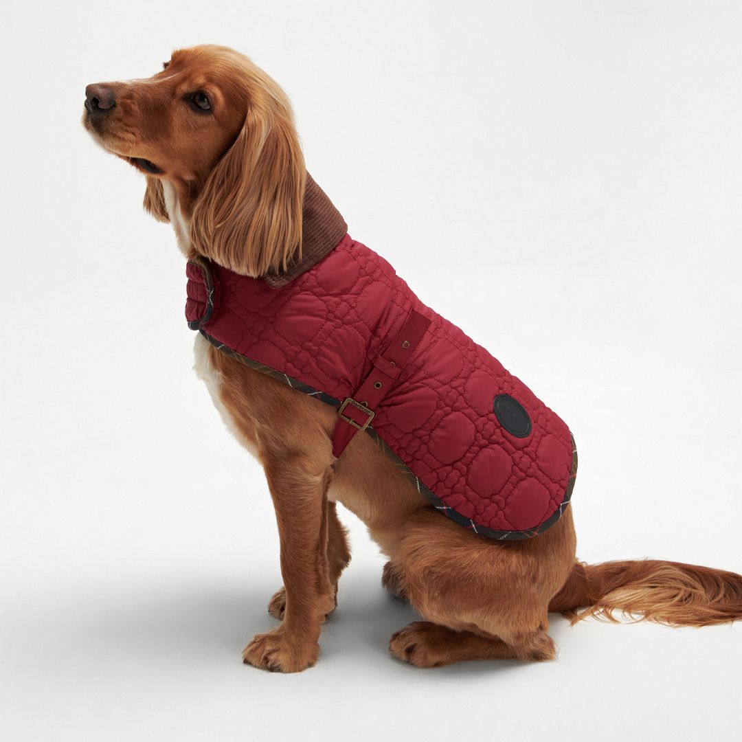 Barbour Dog Bone Quilted Dog Coat in Cranberry - Main Image