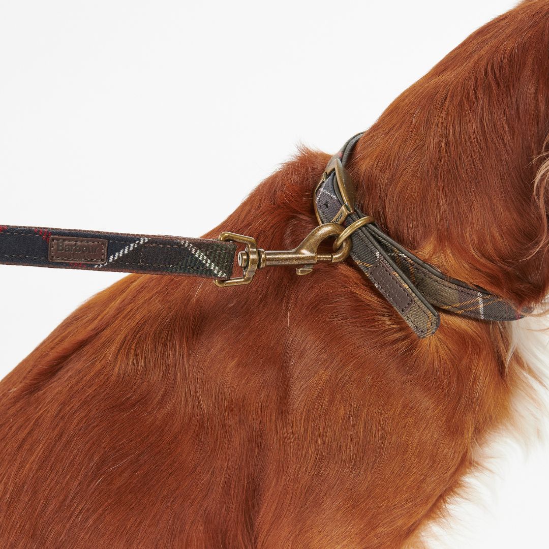 Barbour Dog Lead in Classic Tartan