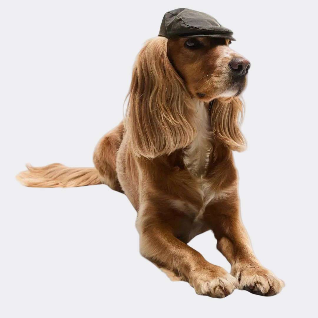 Barbour Dog Wax Flat Cap in Olive