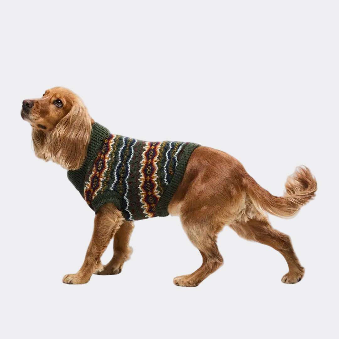Barbour Fair isle Dog Jumper & Bobble Hat Gift Set in Olive