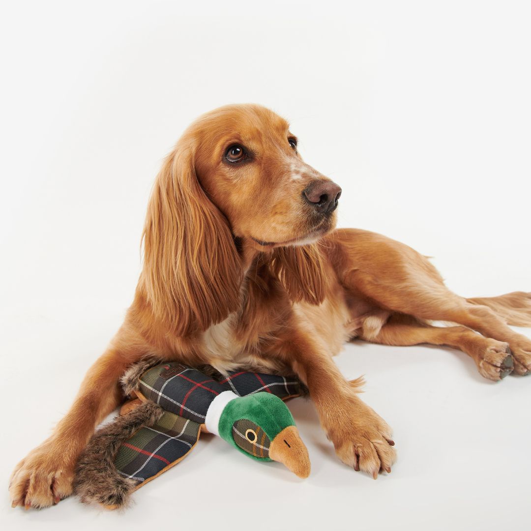 Barbour Pheasant Dog Toy