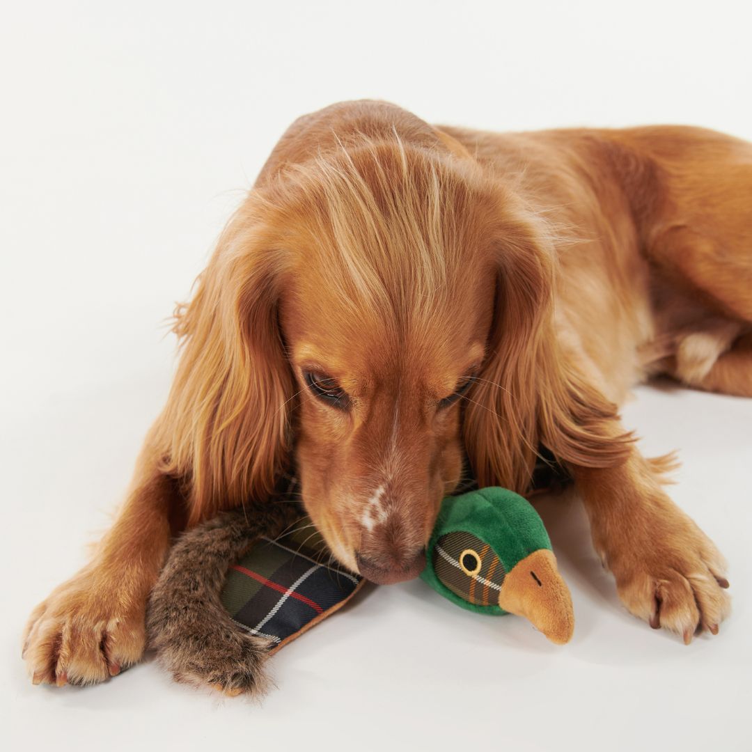 Barbour Pheasant Dog Toy
