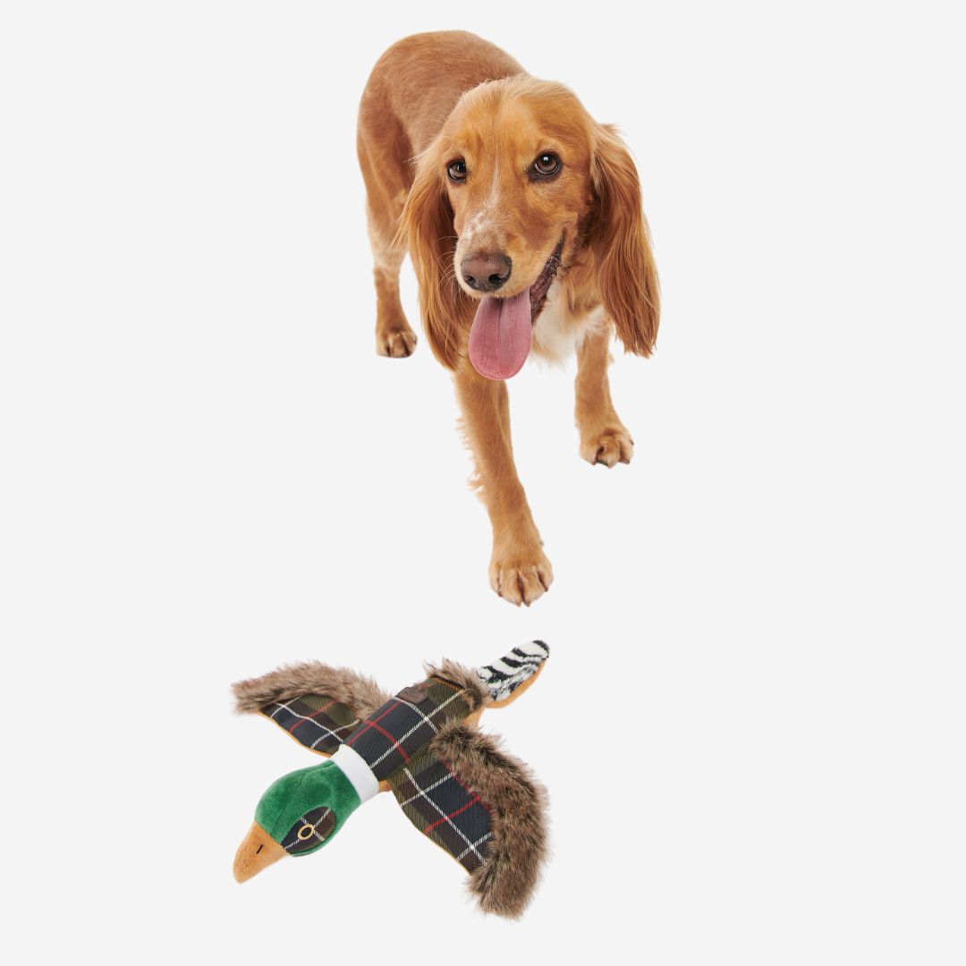 Barbour Pheasant Dog Toy