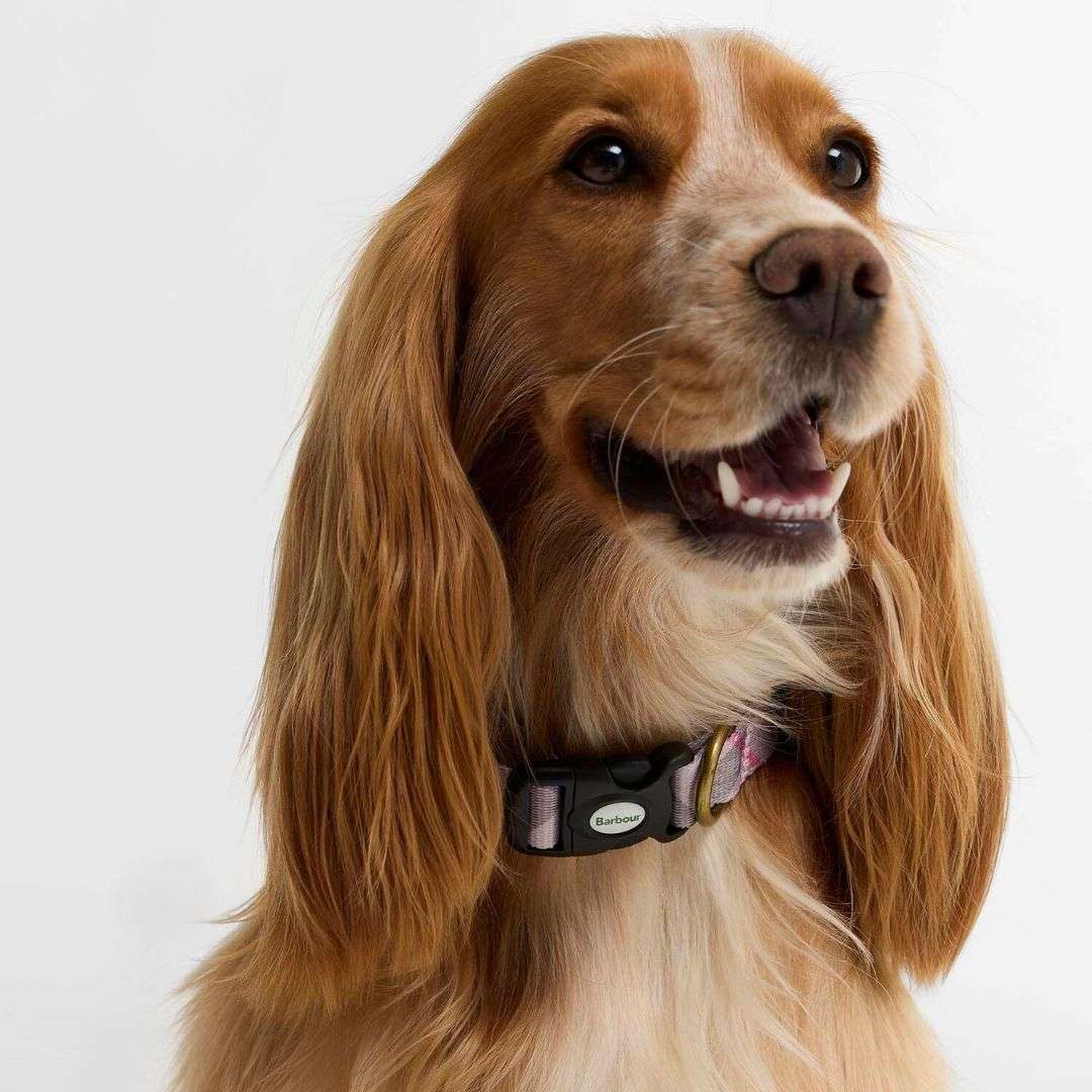 Barbour Printed Dog Collar in Pink Tartan