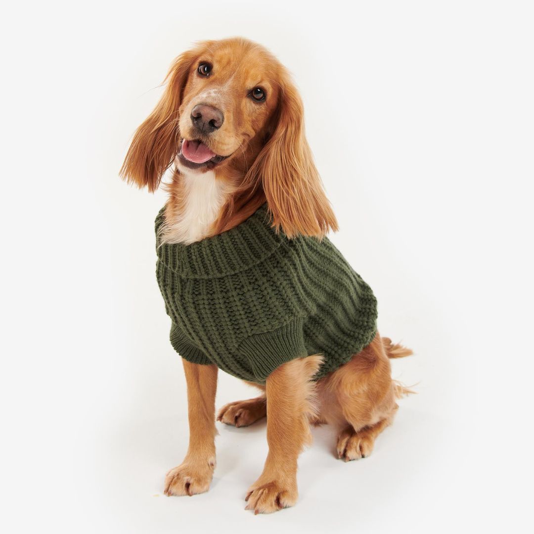 Barbour Saltburn Dog Jumper in Olive