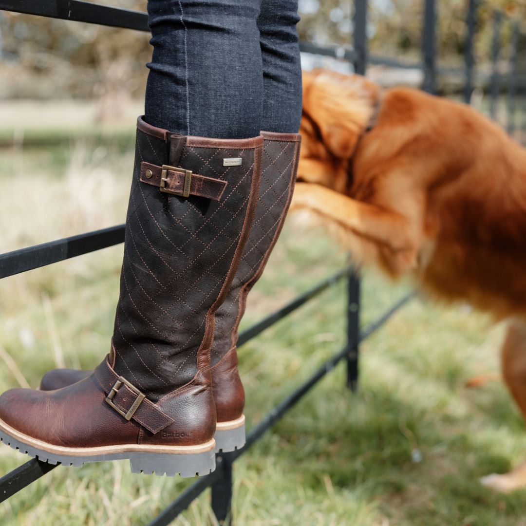 Barbour Women's Willow Knee-High Boots in Dark Brown