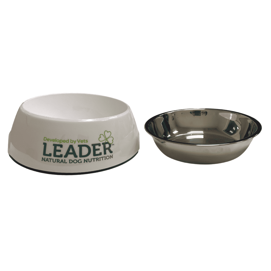 Leader 2-in-1 Large Dog Bowl