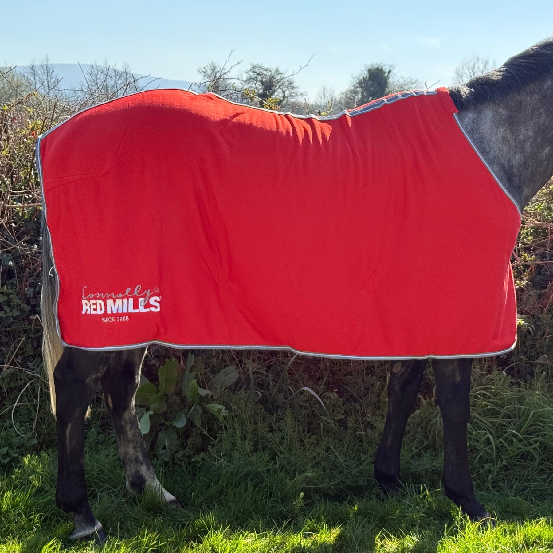 Red Mills Horse Fleece Cooler in Red
