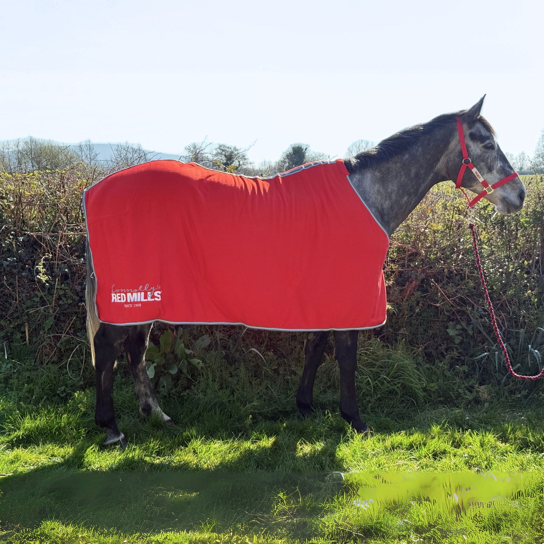 Red Mills Horse Fleece Cooler in Red