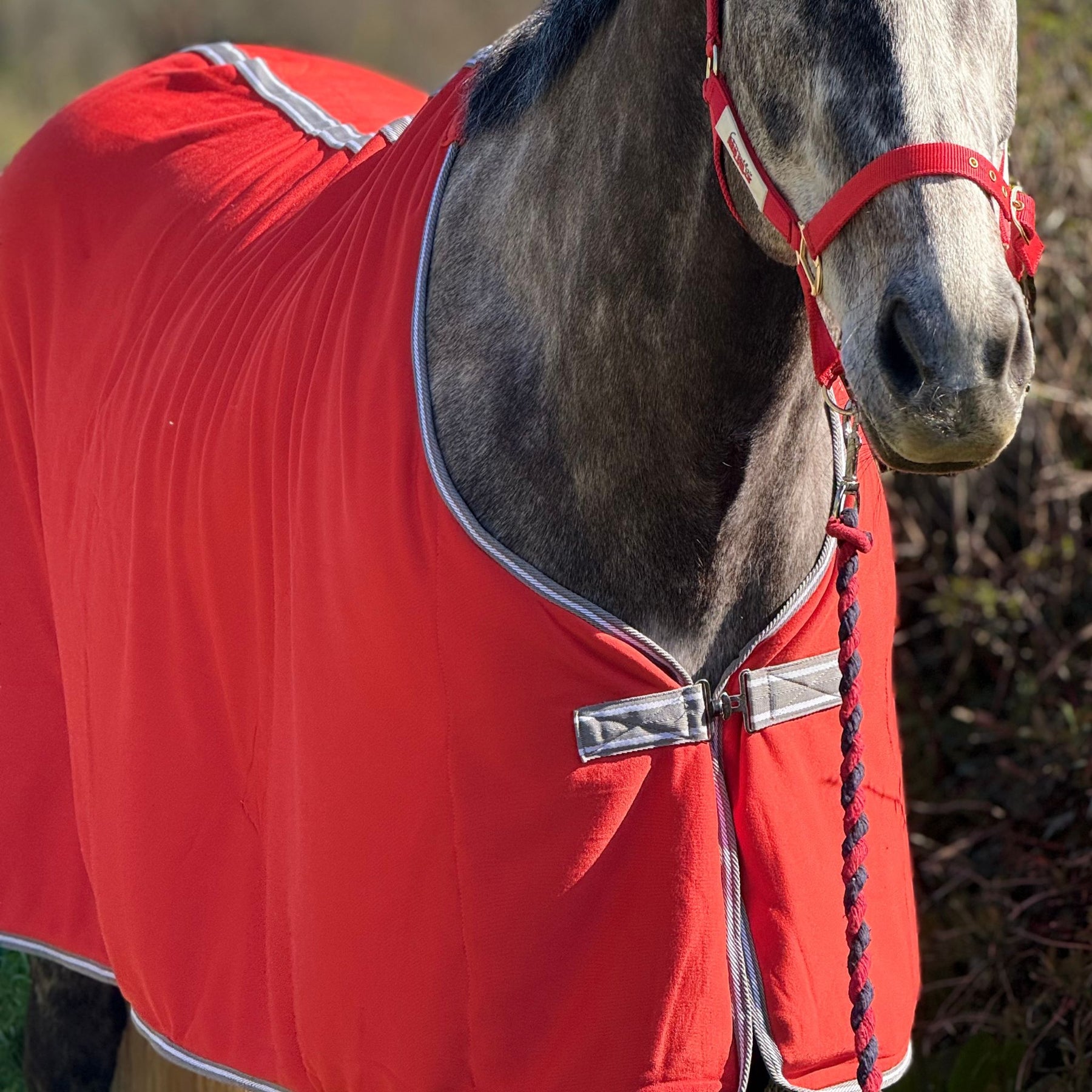 Red Mills Horse Fleece Cooler in Red