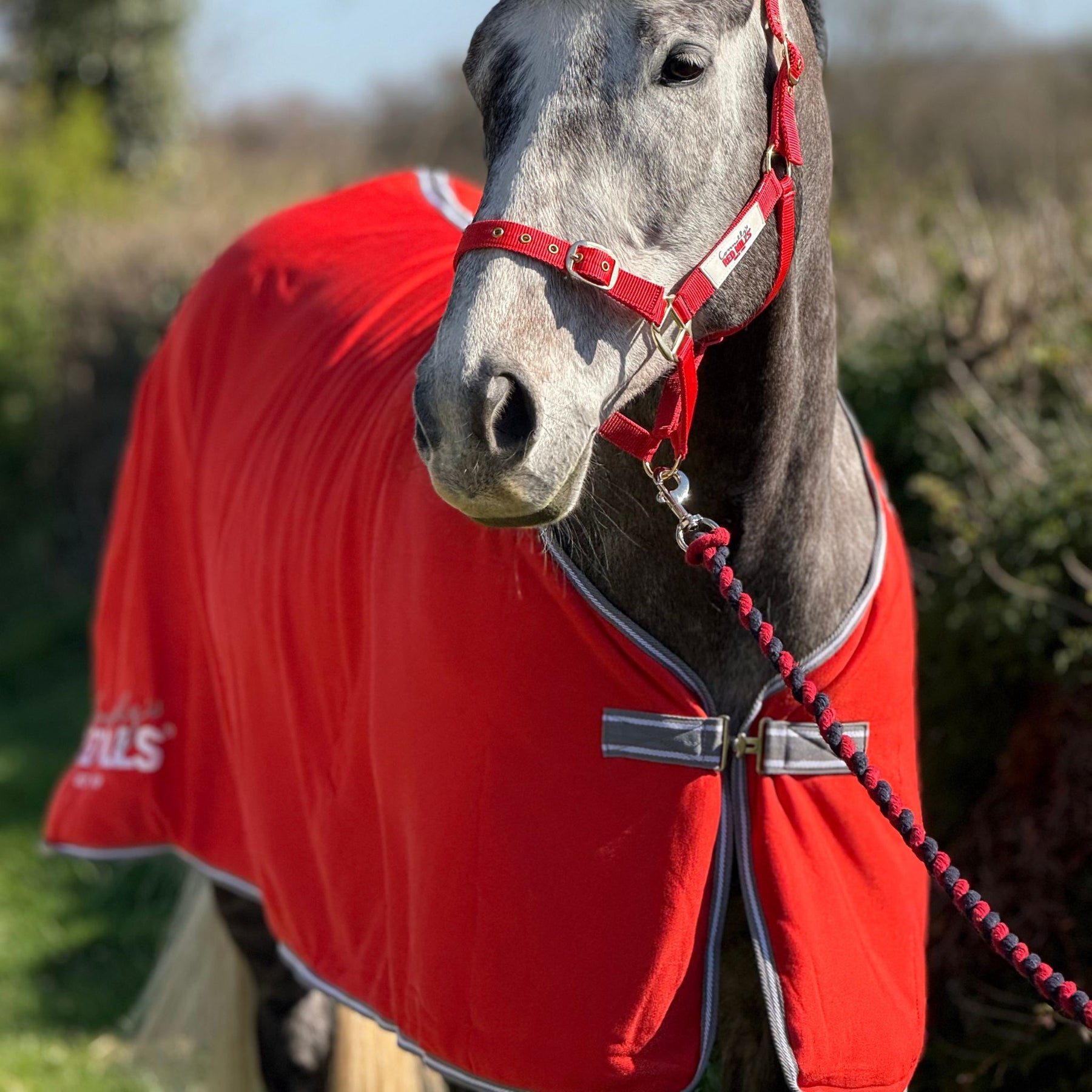 Red Mills Horse Fleece Cooler in Red