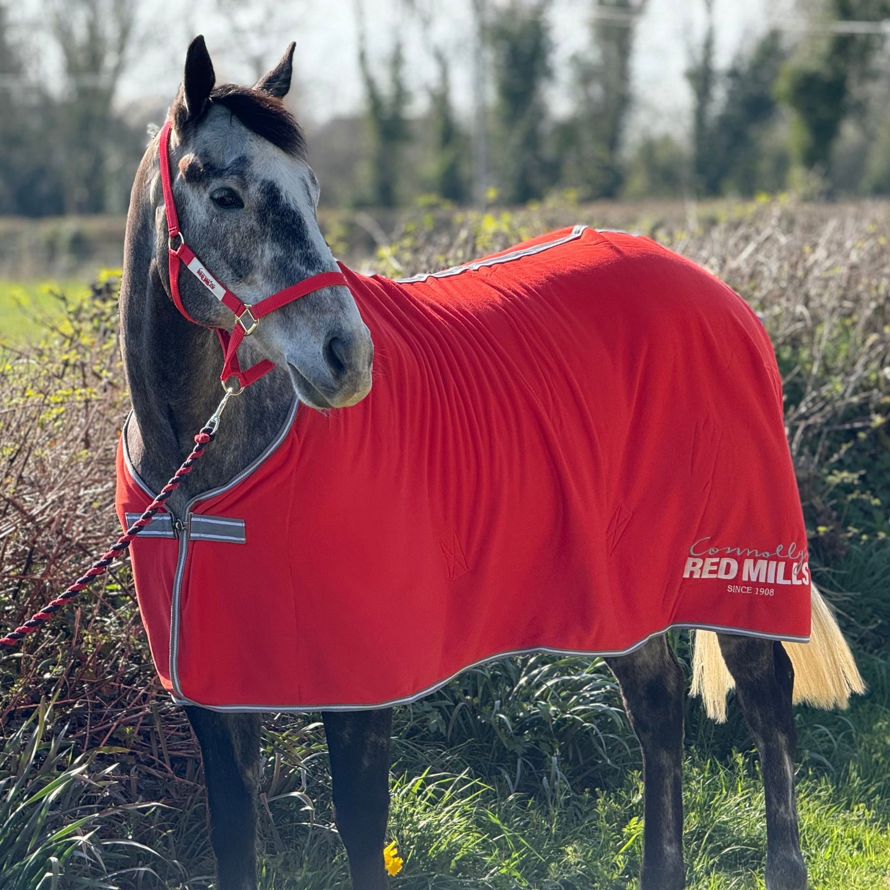 Red Mills Horse Fleece Cooler in Red