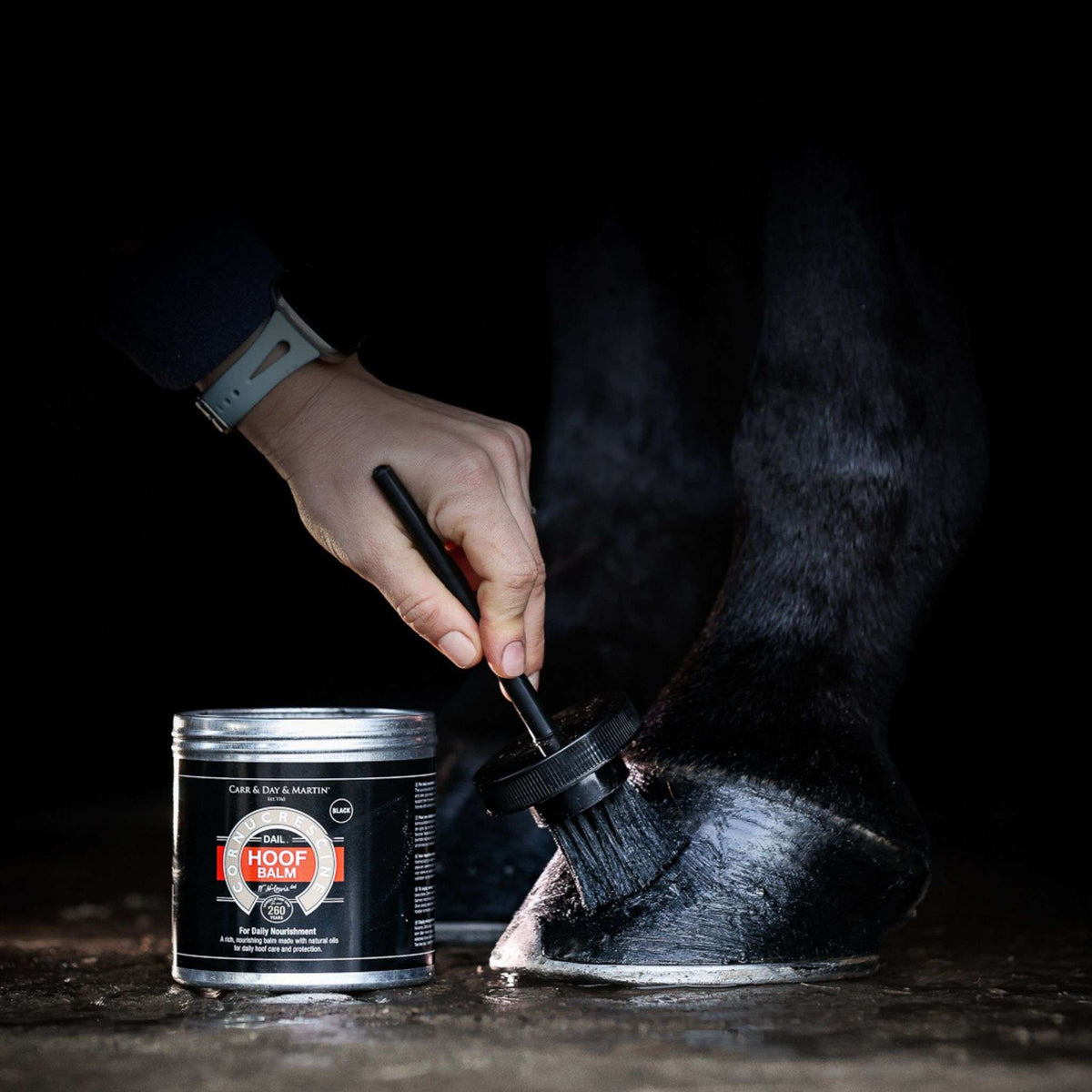 Carr & Day & Martin Cornucrescine Hoof Balm in Black