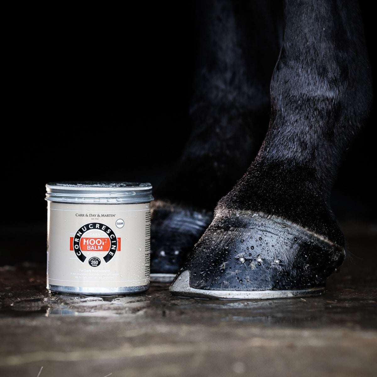 Carr & Day & Martin Cornucrescine Hoof Balm in Clear