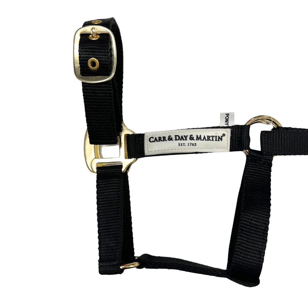 Carr & Day & Martin Horse Headcollar in Black