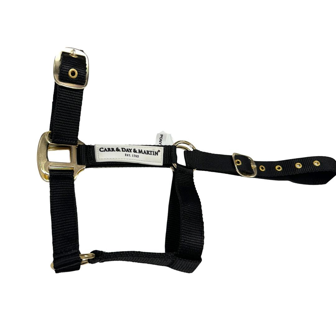 Carr & Day & Martin Horse Headcollar in Black