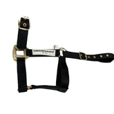 Carr & Day & Martin Horse Headcollar in Black